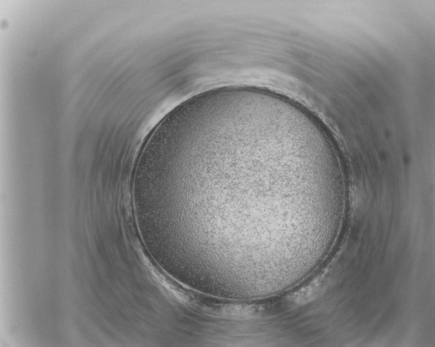 X0000059101521200510172107