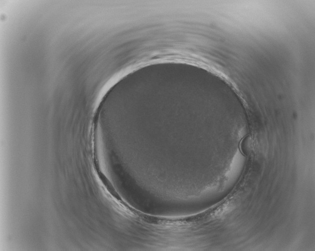 X0000059101522200510172107