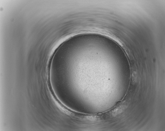 X0000059101523200510172107