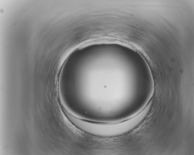 X0000059101524200510172107