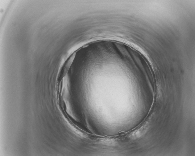 X0000059101525200510172107