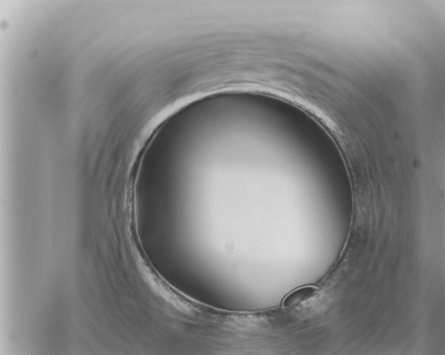 X0000059101526200510172107