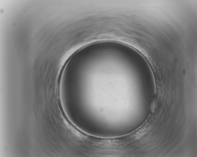 X0000059101527200510172107