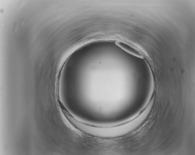 X0000059101528200510172107