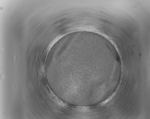 X0000059101529200510172107