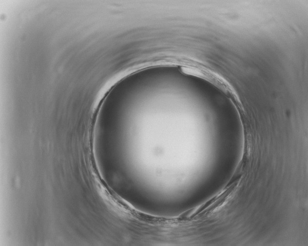 X0000059101530200510172107