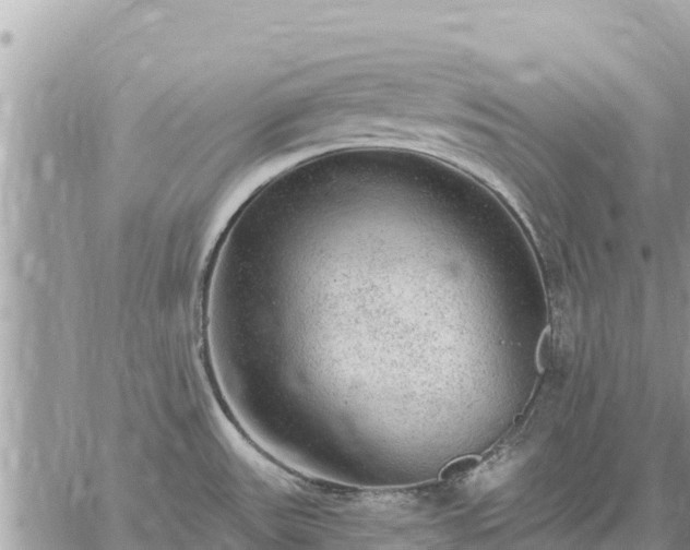 X0000059101531200510172107