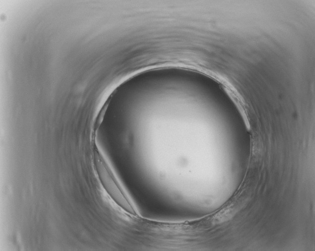 X0000059101532200510172107