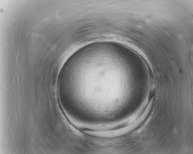 X0000059101533200510172107