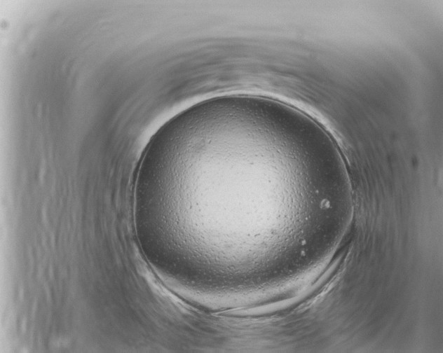 X0000059101534200510172107