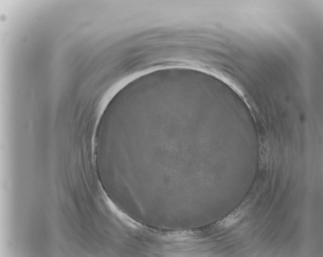 X0000059101535200510172107