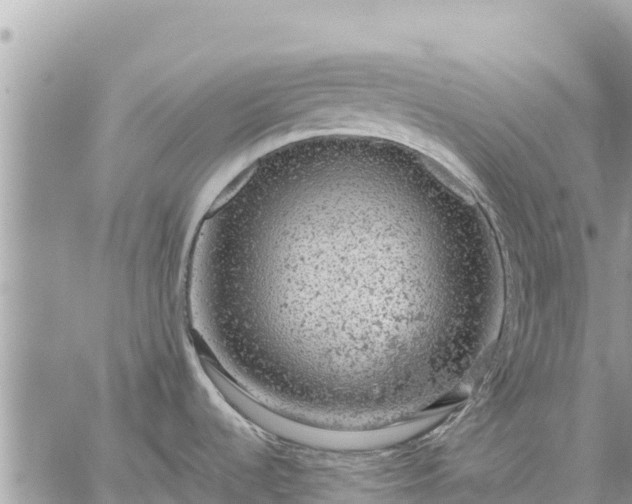 X0000059101536200510172107