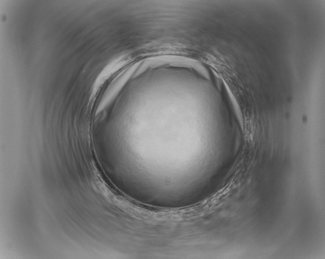 X0000059100004200510211644
