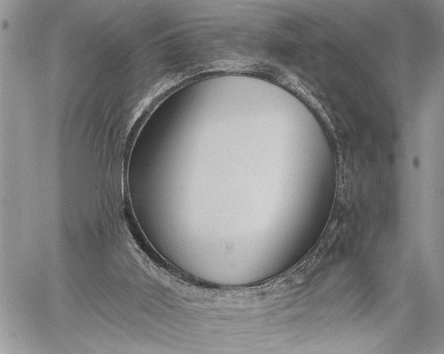 X0000059100011200510211644