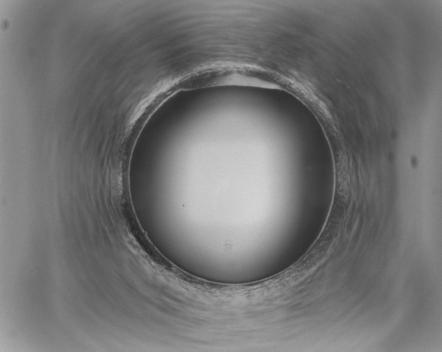 X0000059100015200510211644