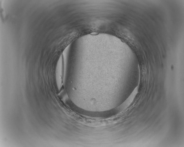 X0000059100029200510211644