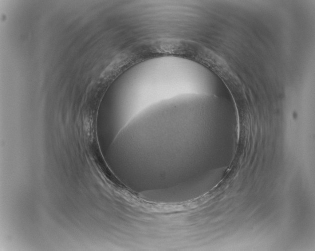 X0000059100031200510211644