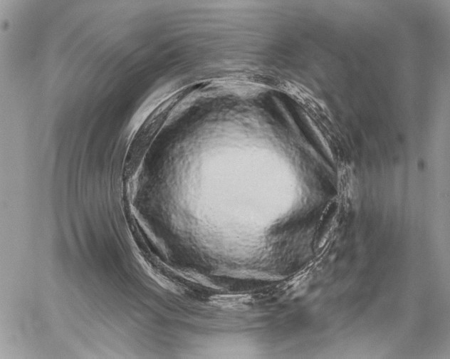 X0000059100051200510211643