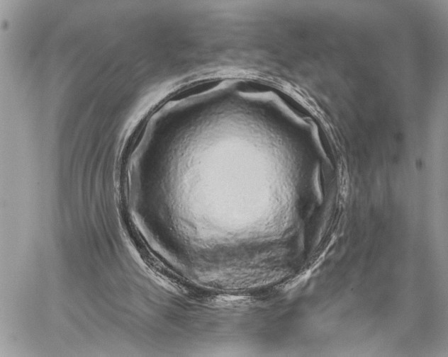 X0000059100055200510211643