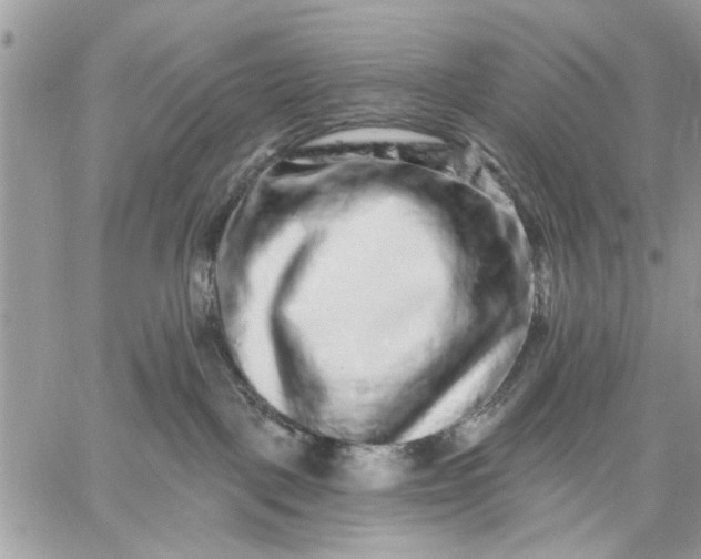 X0000059100093200510211643