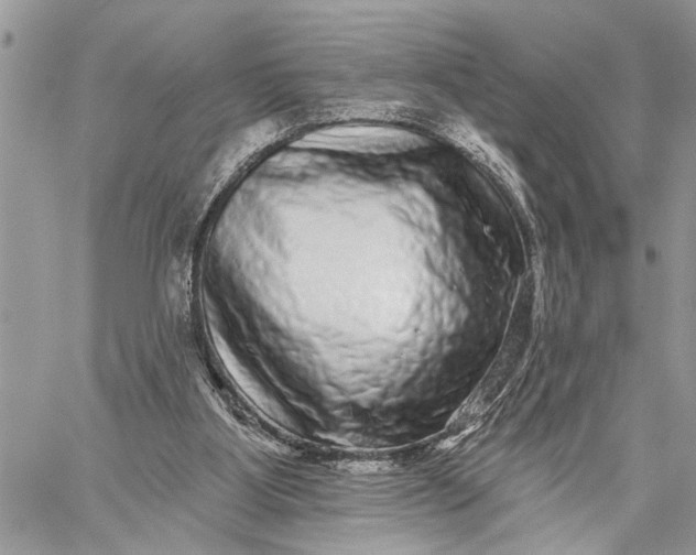 X0000059100107200510211642