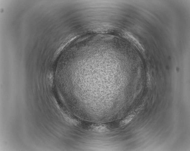 X0000059100113200510211642