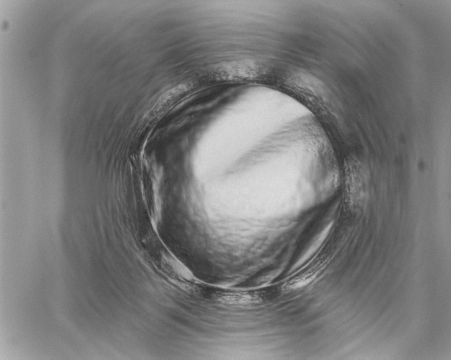 X0000059100123200510211642