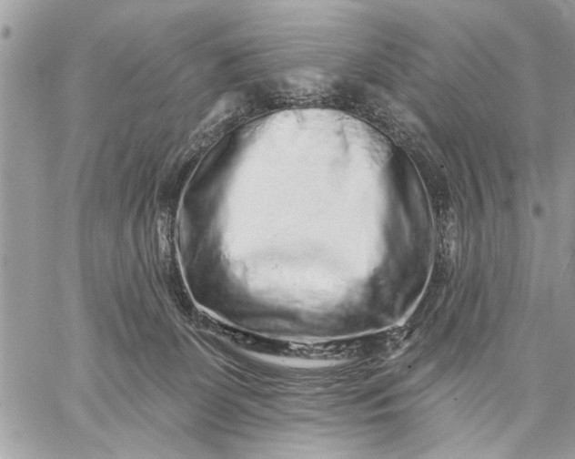 X0000059100131200510211642