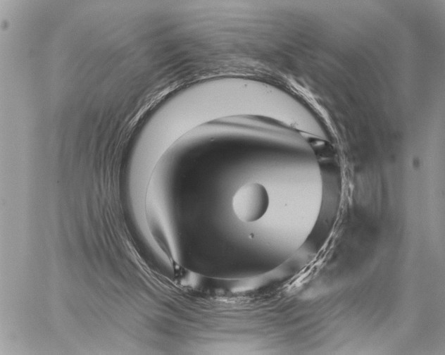 X0000059100154200510211641