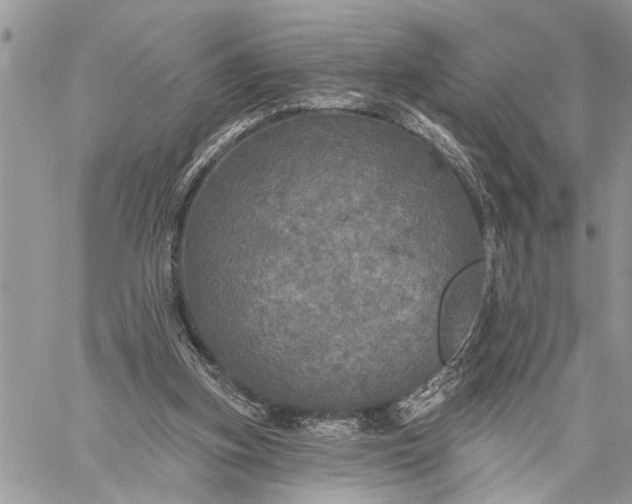 X0000059100155200510211641