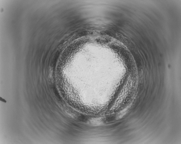 X0000059100178200510211641