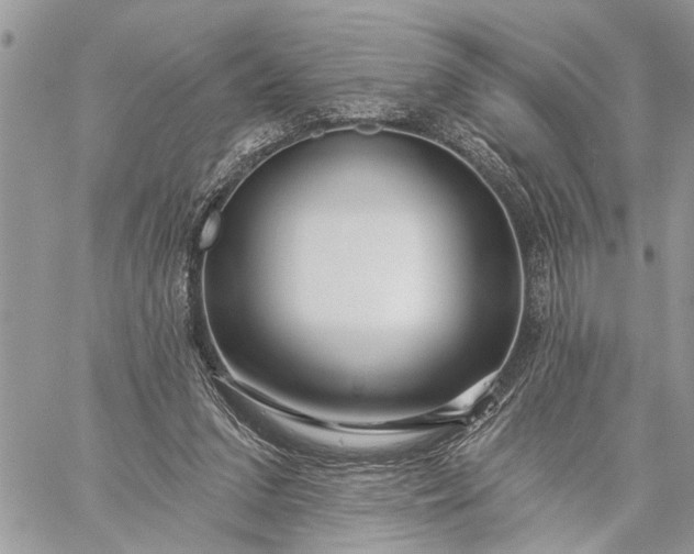 X0000059100207200510211641
