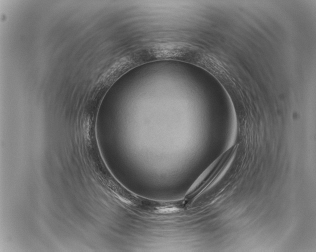 X0000059100219200510211640