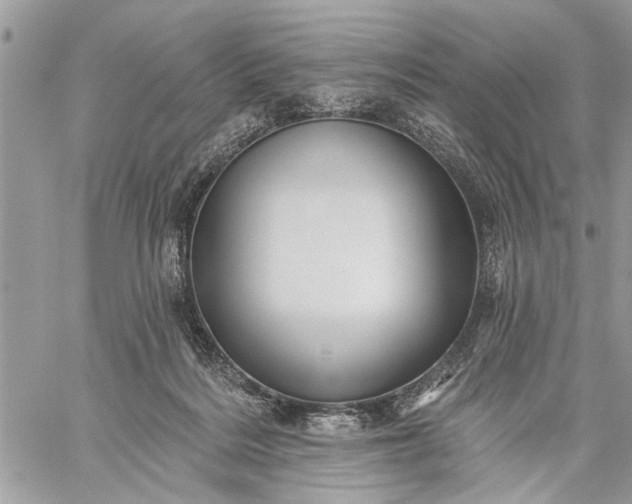 X0000059100220200510211640