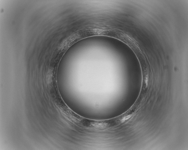 X0000059100221200510211640