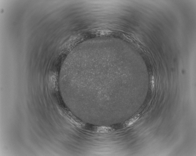 X0000059100222200510211640