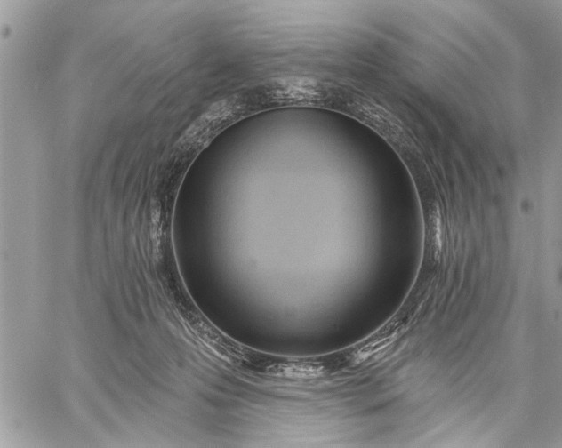 X0000059100223200510211640