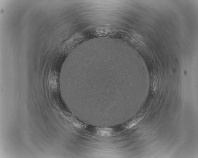 X0000059100226200510211640