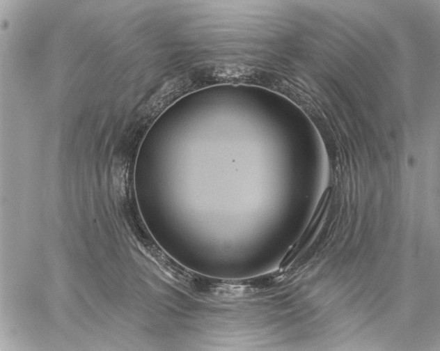 X0000059100227200510211640