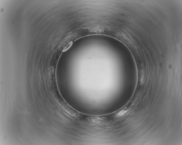 X0000059100229200510211640