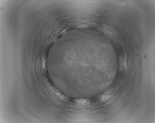 X0000059100230200510211640