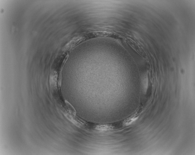 X0000059100231200510211640