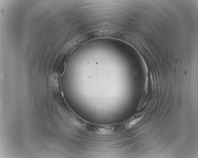 X0000059100232200510211640