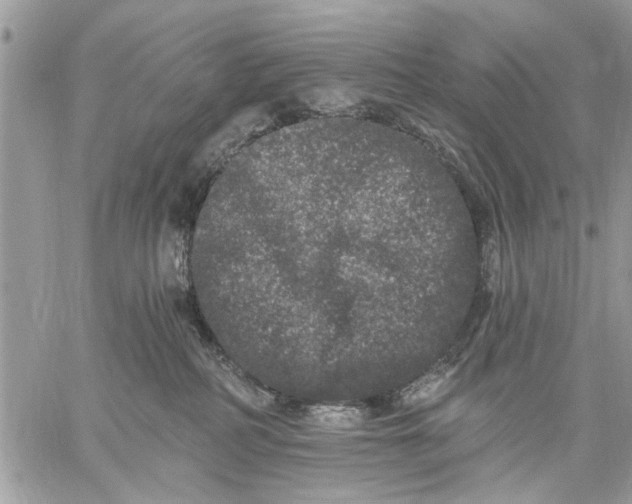 X0000059100234200510211640