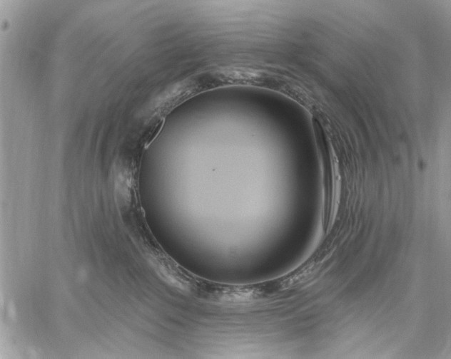 X0000059100235200510211640