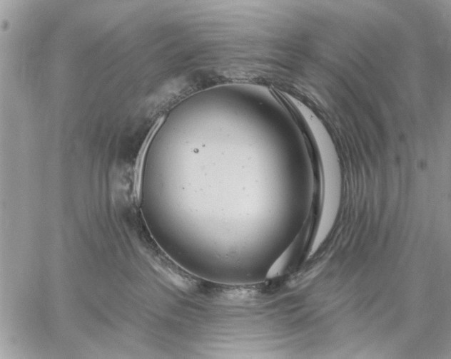 X0000059100237200510211640