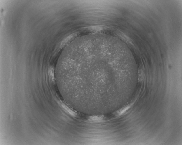 X0000059100238200510211640