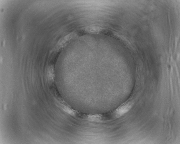 X0000059100240200510211640