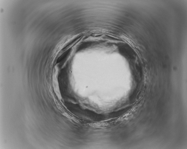 X0000059100241200510211639