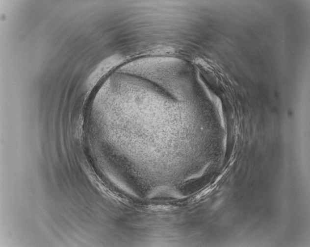 X0000059100242200510211639